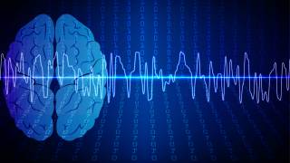 Brain Waves Reflect Different Types of Learning