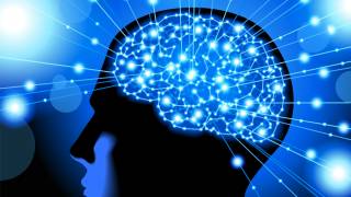 Scientists Use Electrical Stimulation to Improve Human Memory
