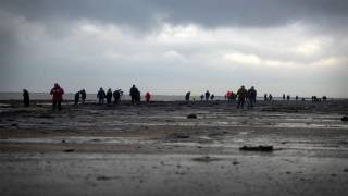 Crowds Flock to Ancient Forest on Redcar Beach After Beast from the East Revealed Site